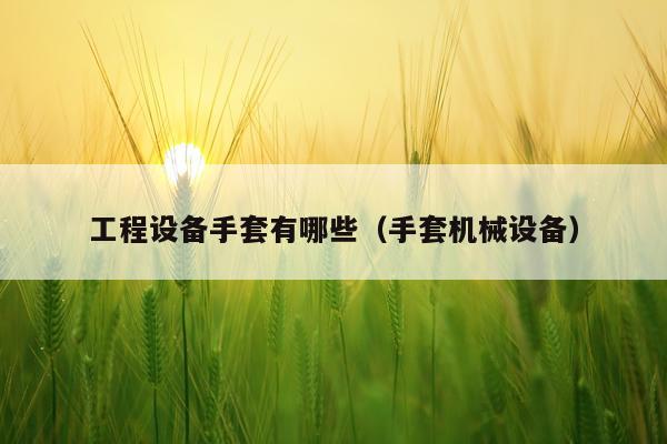 工程设备手套有哪些（手套机械设备）