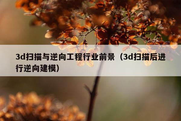 3d扫描与逆向工程行业前景（3d扫描后进行逆向建模）
