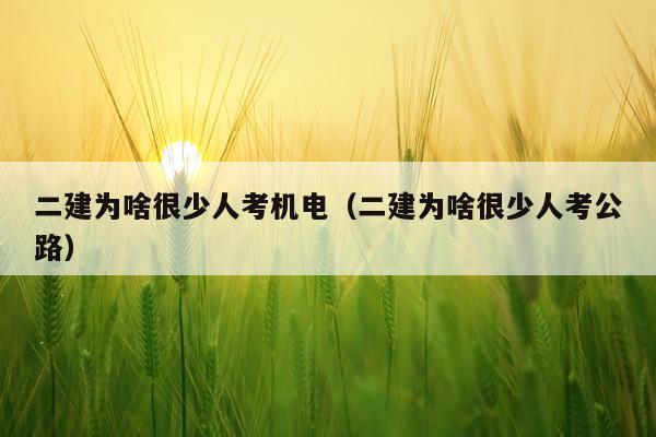 二建为啥很少人考机电（二建为啥很少人考公路）