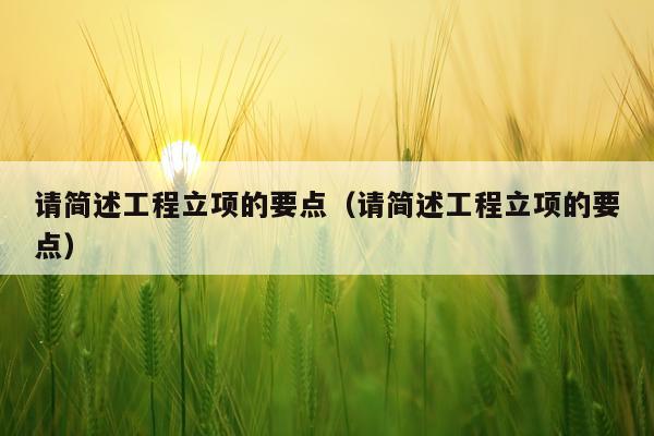 请简述工程立项的要点（请简述工程立项的要点）