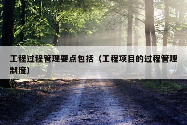工程过程管理要点包括（工程项目的过程管理制度）