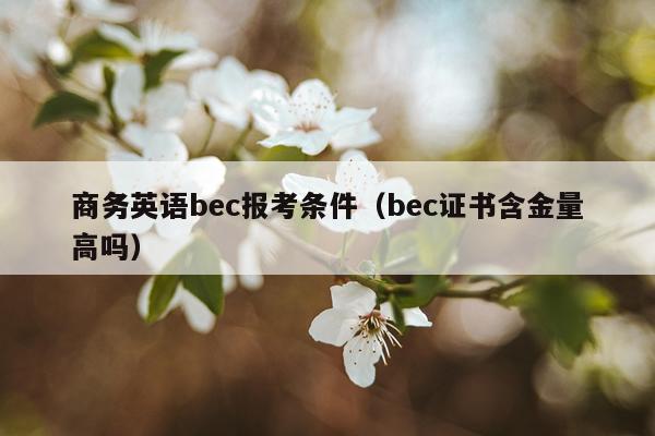 商务英语bec报考条件（bec证书含金量高吗）