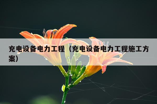 充电设备电力工程（充电设备电力工程施工方案）