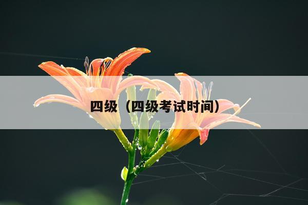 四级（四级考试时间）