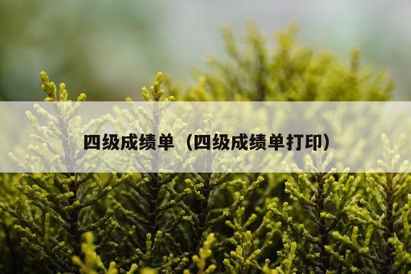 四级成绩单（四级成绩单打印）