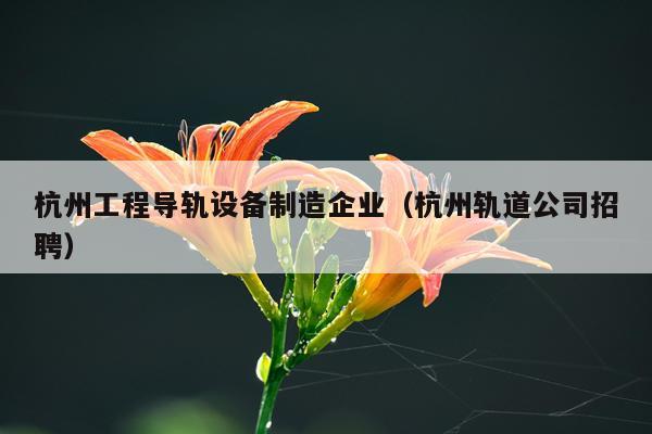 杭州工程导轨设备制造企业（杭州轨道公司招聘）