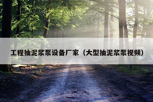 工程抽泥浆泵设备厂家（大型抽泥浆泵视频）