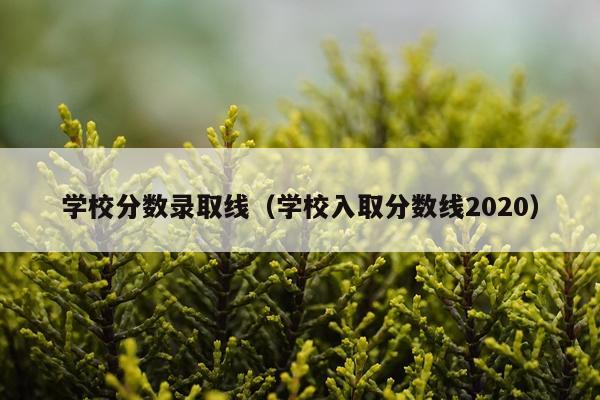 学校分数录取线（学校入取分数线2020）