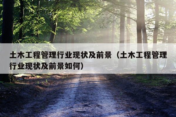 土木工程管理行业现状及前景（土木工程管理行业现状及前景如何）
