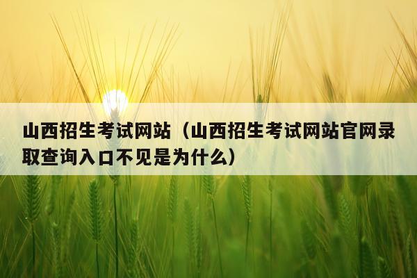 山西招生考试网站（山西招生考试网站官网录取查询入口不见是为什么）
