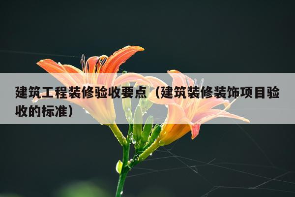 建筑工程装修验收要点（建筑装修装饰项目验收的标准）