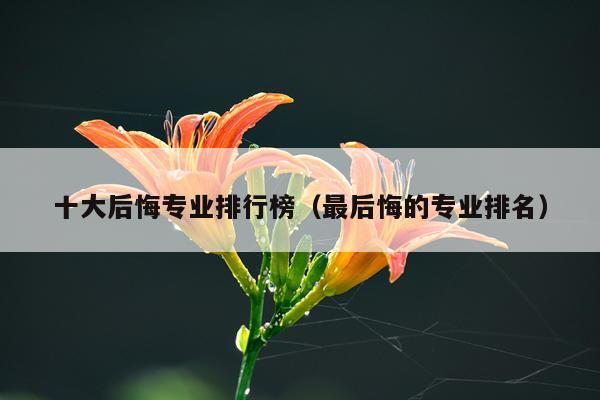 十大后悔专业排行榜（最后悔的专业排名）