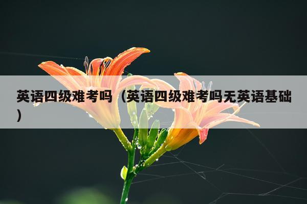 英语四级难考吗（英语四级难考吗无英语基础）