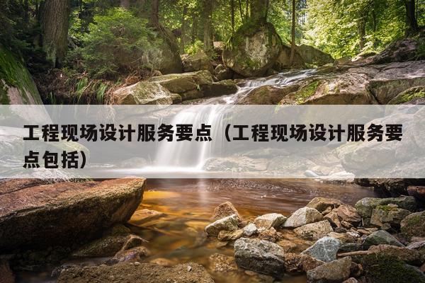 工程现场设计服务要点（工程现场设计服务要点包括）