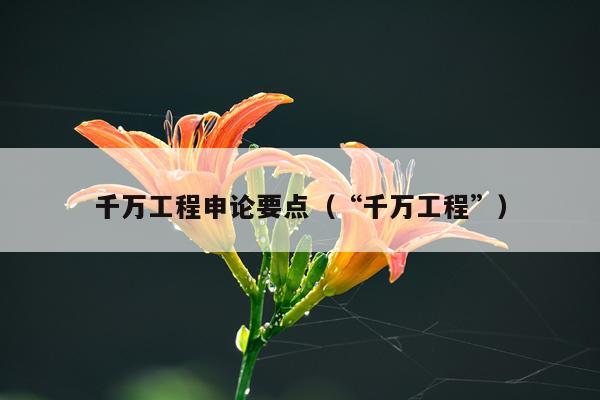 千万工程申论要点（“千万工程”）