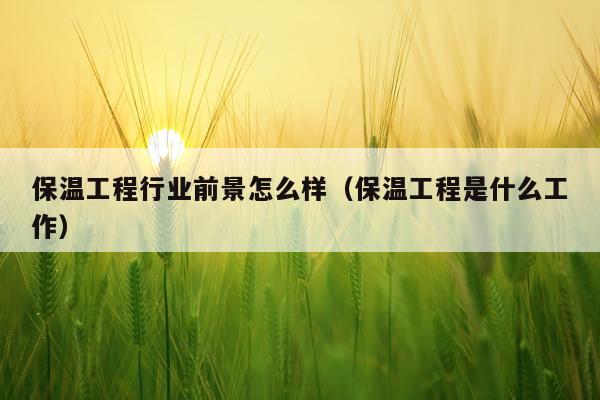 保温工程行业前景怎么样（保温工程是什么工作）