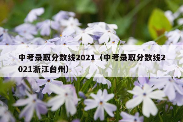 中考录取分数线2021（中考录取分数线2021浙江台州）