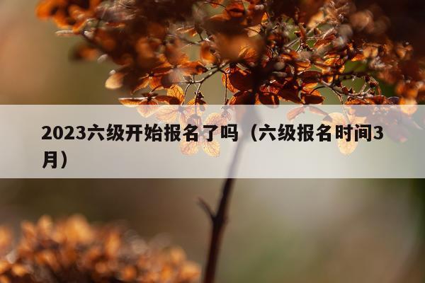 2023六级开始报名了吗（六级报名时间3月）