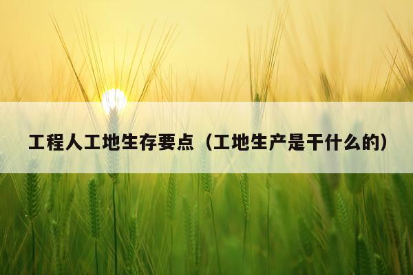 工程人工地生存要点（工地生产是干什么的）