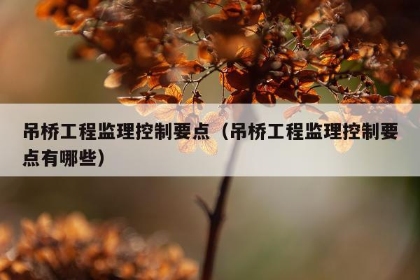 吊桥工程监理控制要点（吊桥工程监理控制要点有哪些）