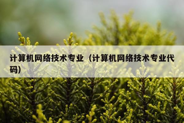 计算机网络技术专业（计算机网络技术专业代码）