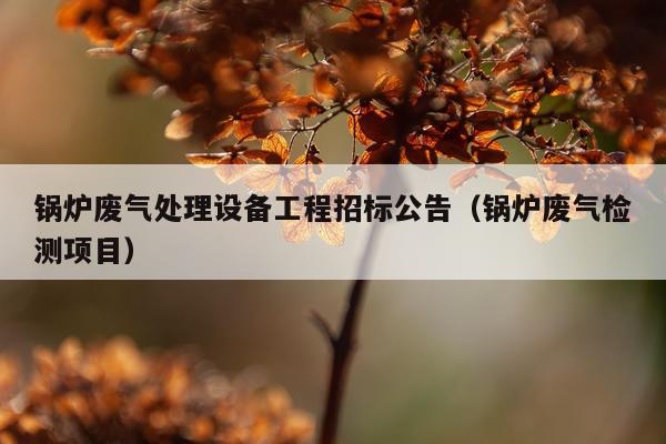 锅炉废气处理设备工程招标公告（锅炉废气检测项目）