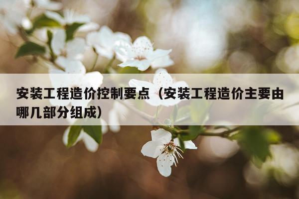 安装工程造价控制要点（安装工程造价主要由哪几部分组成）