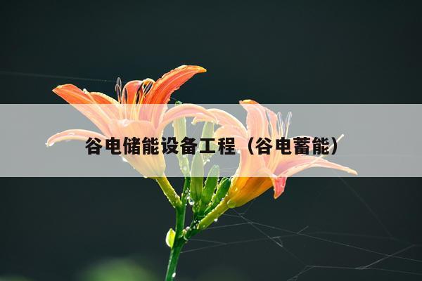 谷电储能设备工程（谷电蓄能）