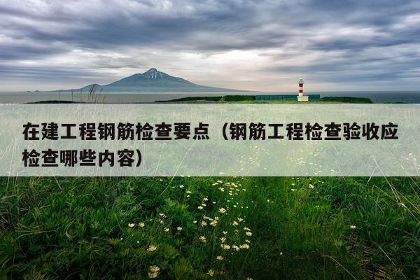 在建工程钢筋检查要点（钢筋工程检查验收应检查哪些内容）