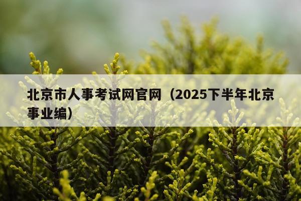 北京市人事考试网官网（2025下半年北京事业编）
