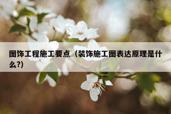 图饰工程施工要点（装饰施工图表达原理是什么?）