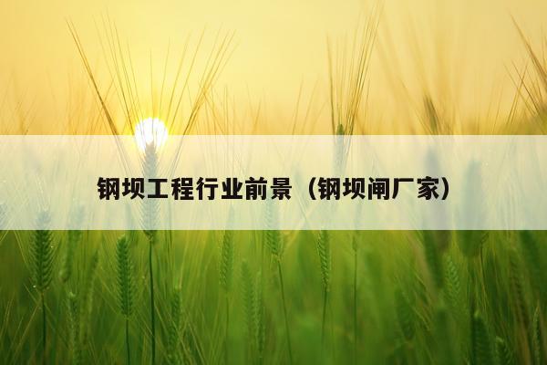 钢坝工程行业前景（钢坝闸厂家）