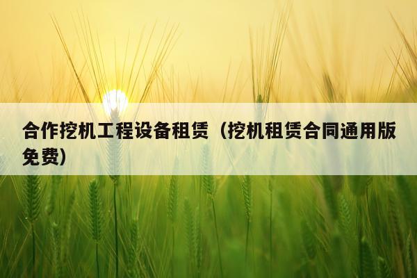 合作挖机工程设备租赁（挖机租赁合同通用版免费）