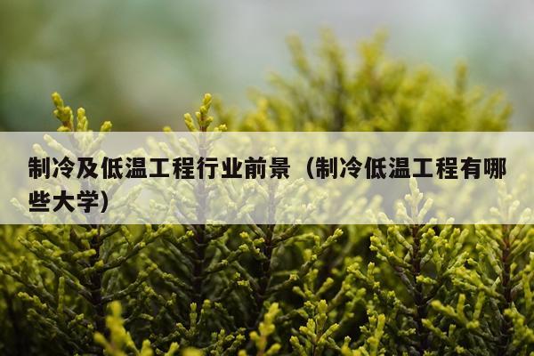 制冷及低温工程行业前景（制冷低温工程有哪些大学）