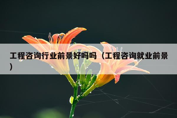 工程咨询行业前景好吗吗（工程咨询就业前景）