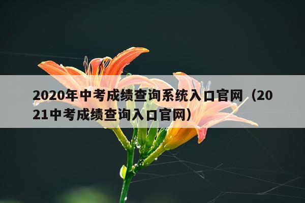 2020年中考成绩查询系统入口官网（2021中考成绩查询入口官网）