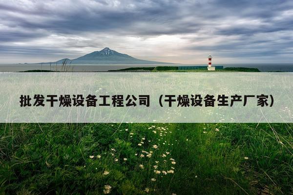 批发干燥设备工程公司（干燥设备生产厂家）