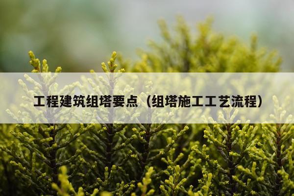 工程建筑组塔要点（组塔施工工艺流程）