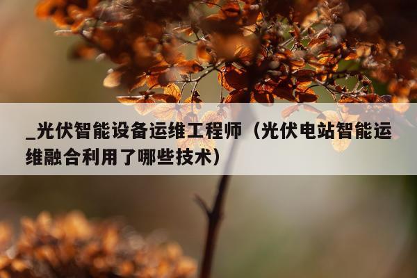 _光伏智能设备运维工程师（光伏电站智能运维融合利用了哪些技术）