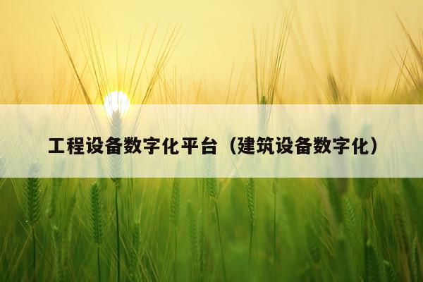 工程设备数字化平台（建筑设备数字化）
