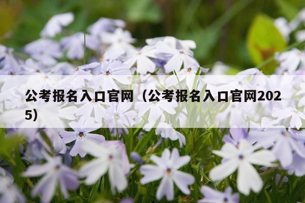 公考报名入口官网（公考报名入口官网2025）