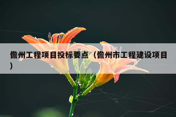 儋州工程项目投标要点（儋州市工程建设项目）