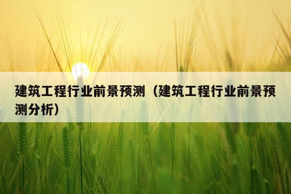 建筑工程行业前景预测（建筑工程行业前景预测分析）