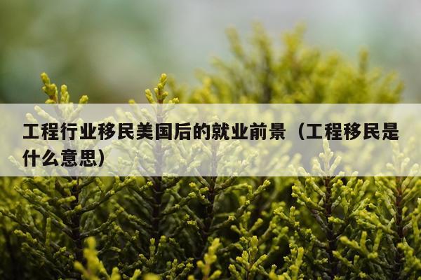工程行业移民美国后的就业前景（工程移民是什么意思）