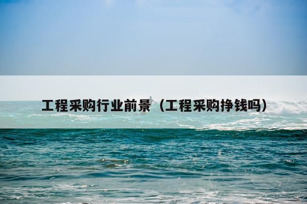 工程采购行业前景（工程采购挣钱吗）
