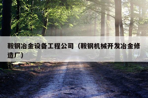 鞍钢冶金设备工程公司（鞍钢机械开发冶金修造厂）