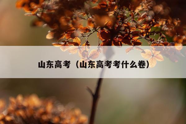 山东高考（山东高考考什么卷）
