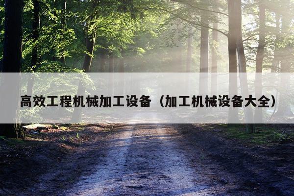 高效工程机械加工设备（加工机械设备大全）