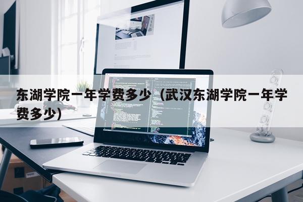 东湖学院一年学费多少（武汉东湖学院一年学费多少）