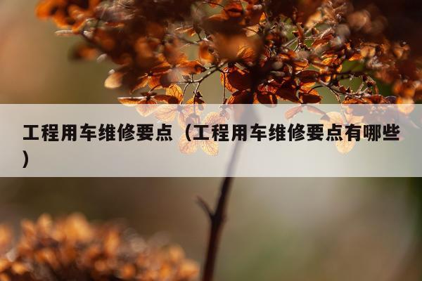 工程用车维修要点（工程用车维修要点有哪些）